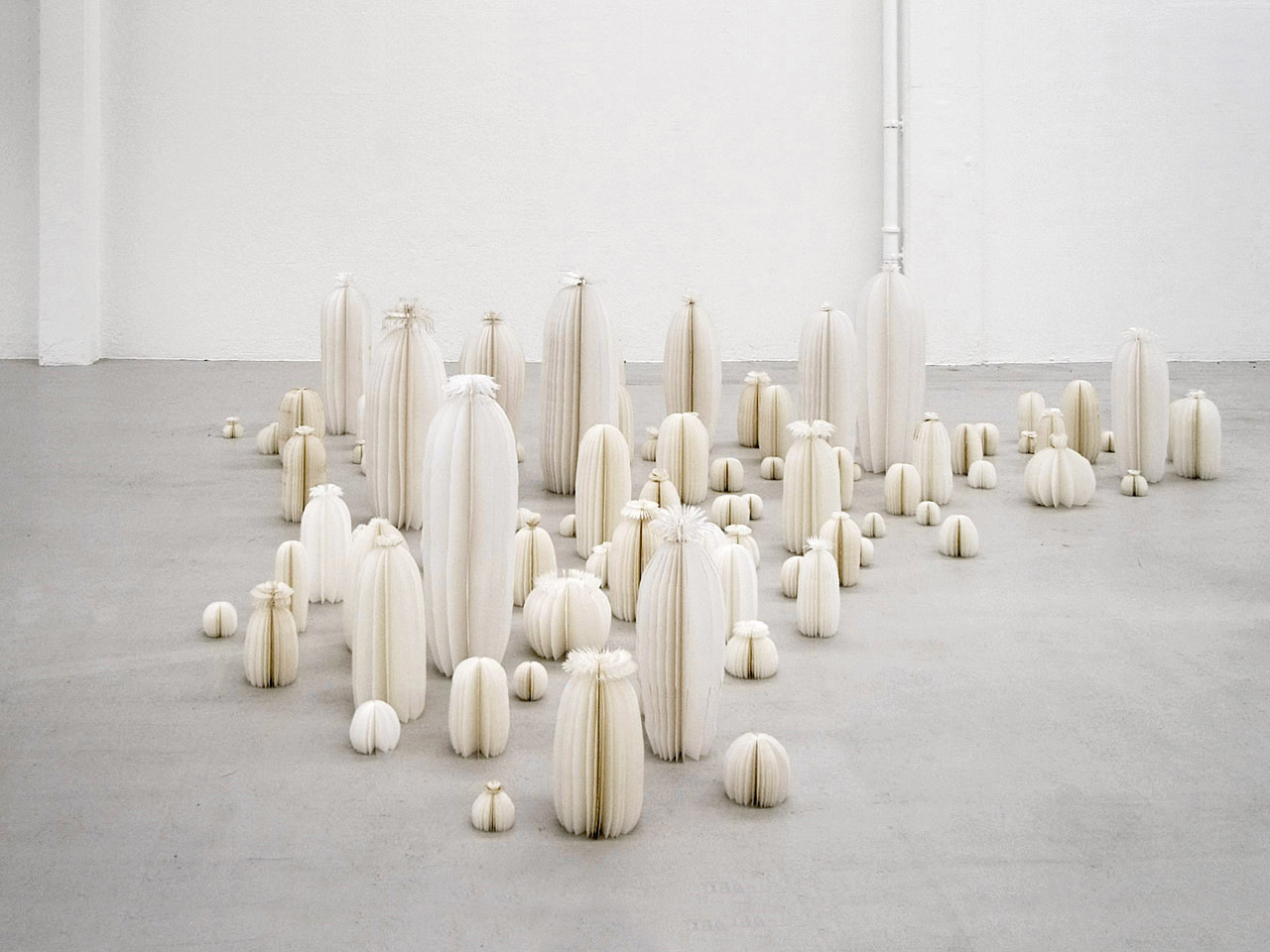 Work by Rapedius