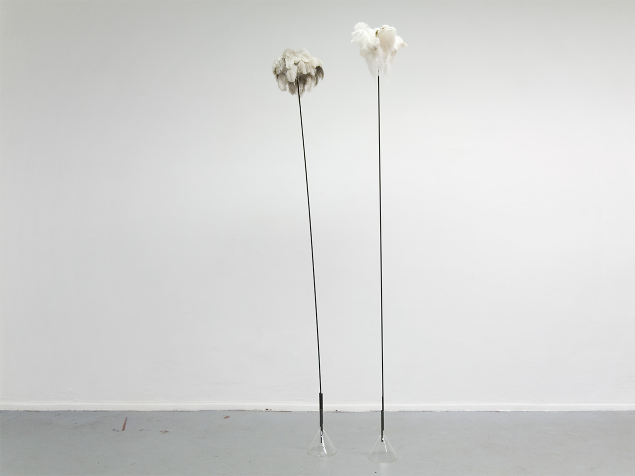 Work by Rapedius