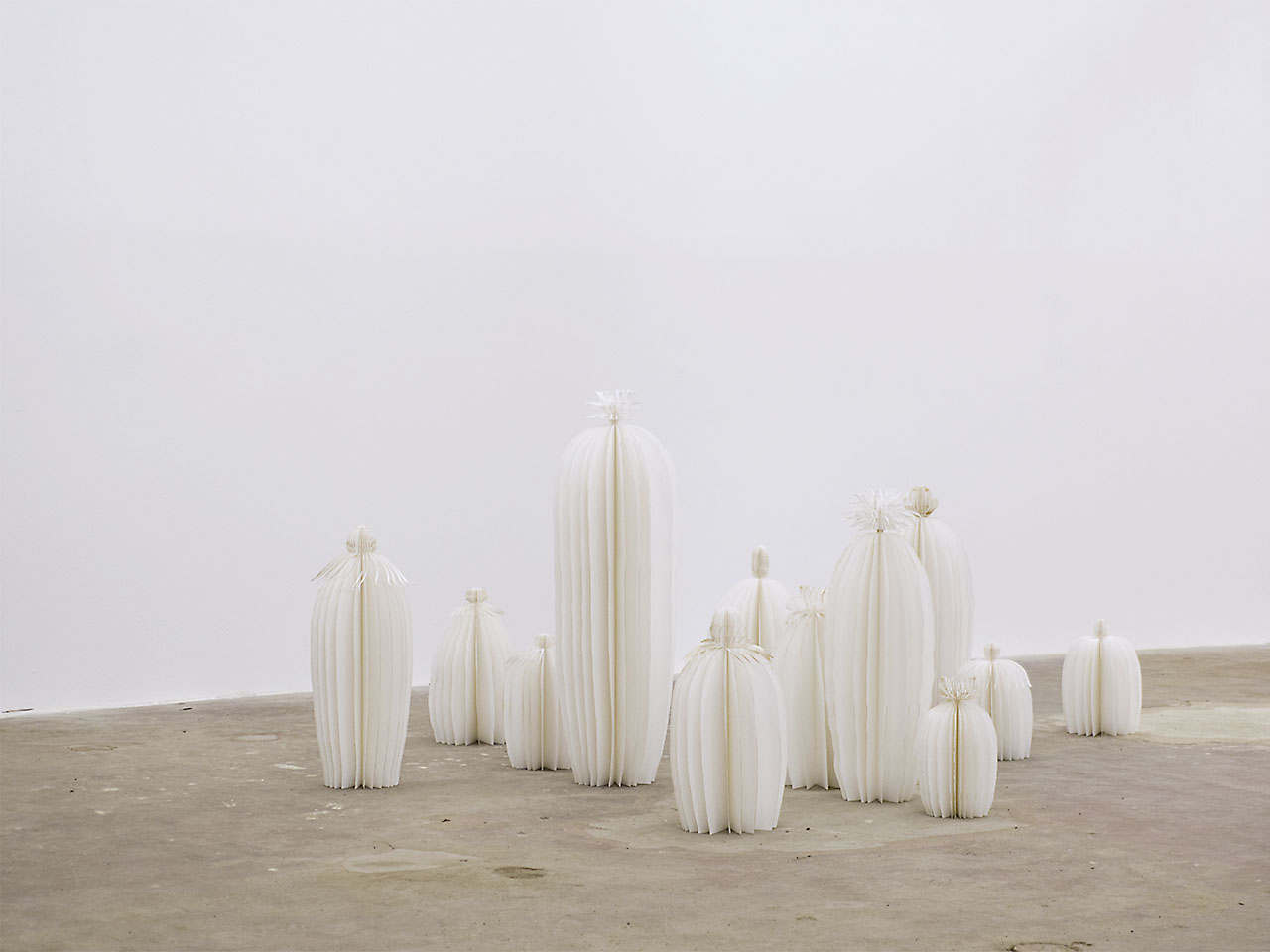 Work by Rapedius
