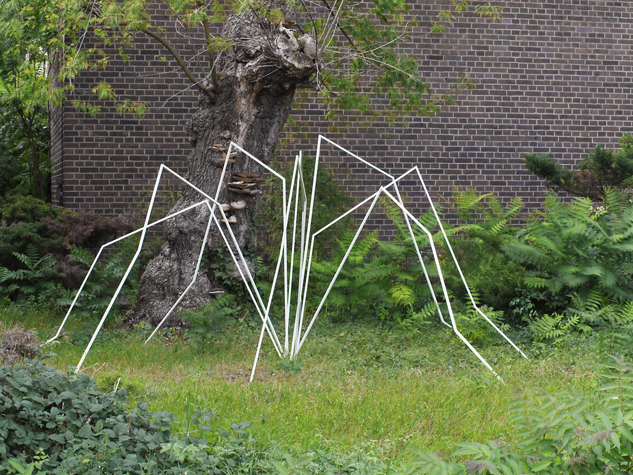 Work by Rapedius