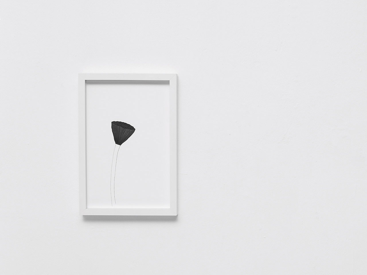 Work by Rapedius
