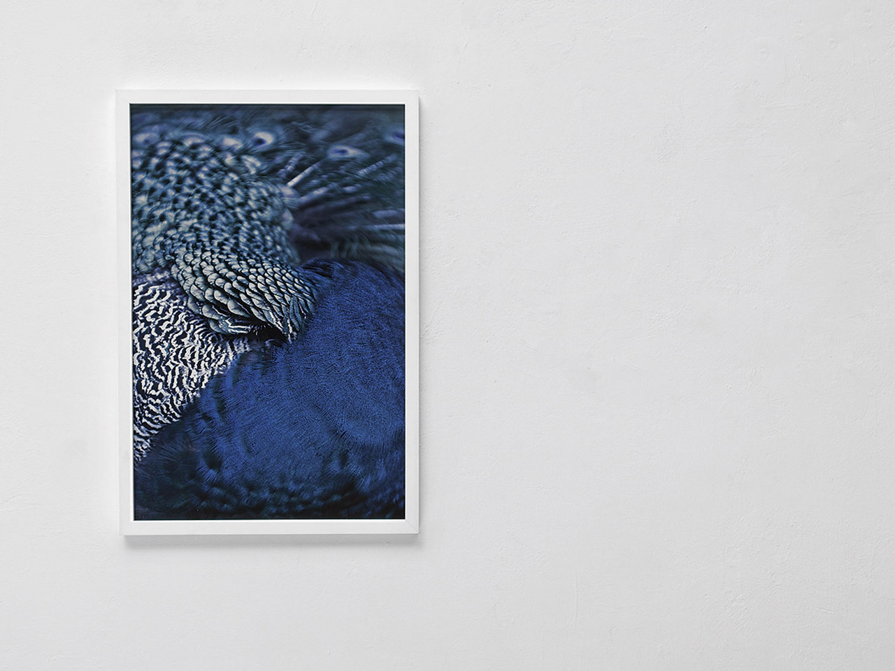 Work by Rapedius