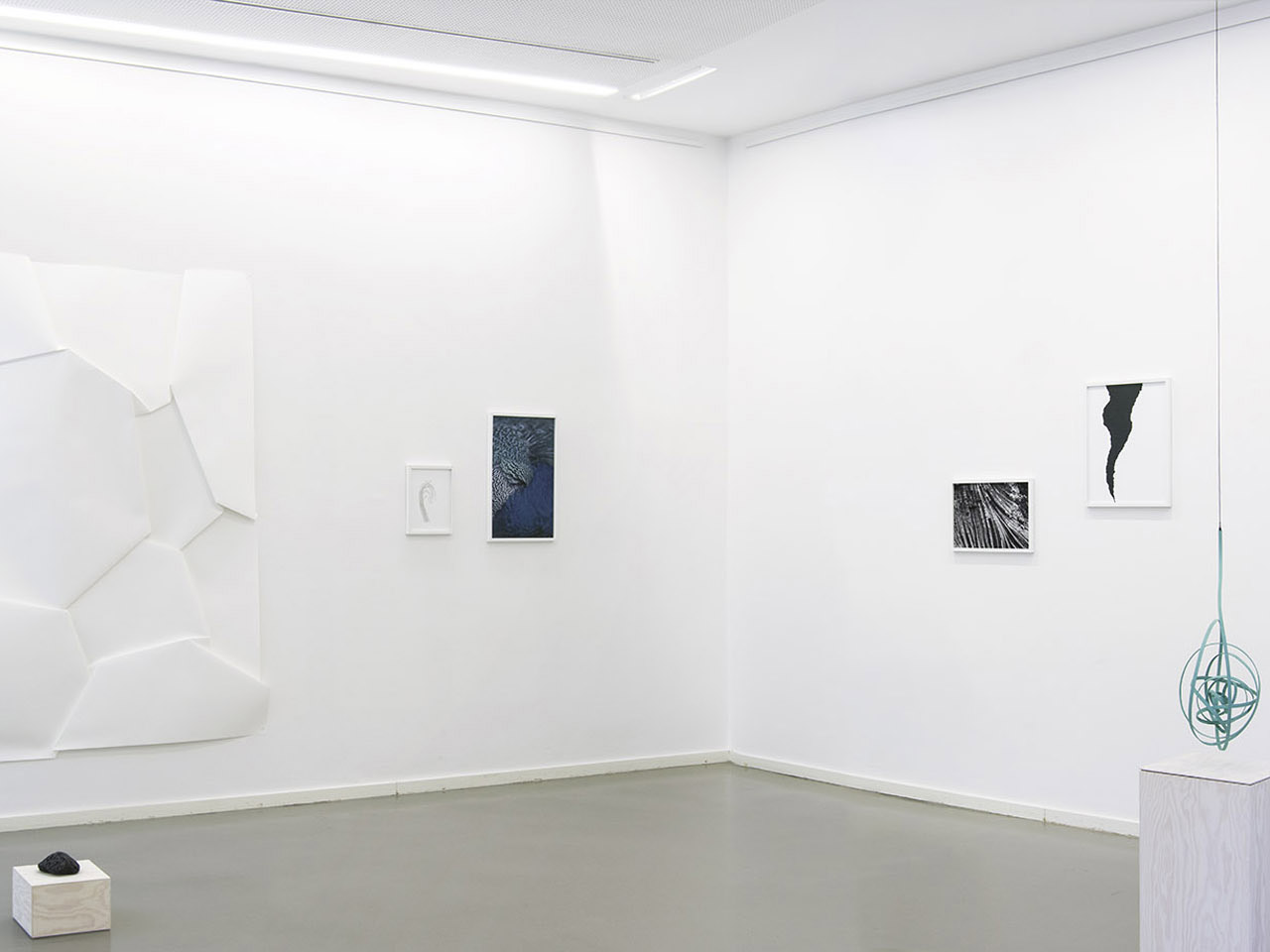 Work by Rapedius